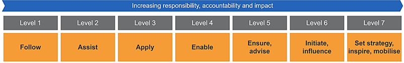 Diagram of essence statements for levels of responsibility